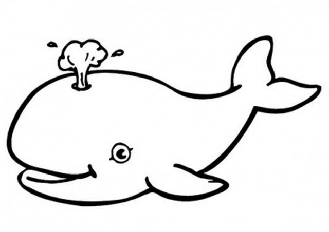 Whale black and white clipart clipart kid 2