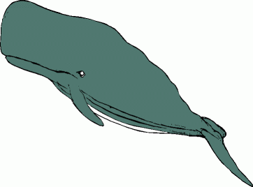 Whales clipart clipartix 2