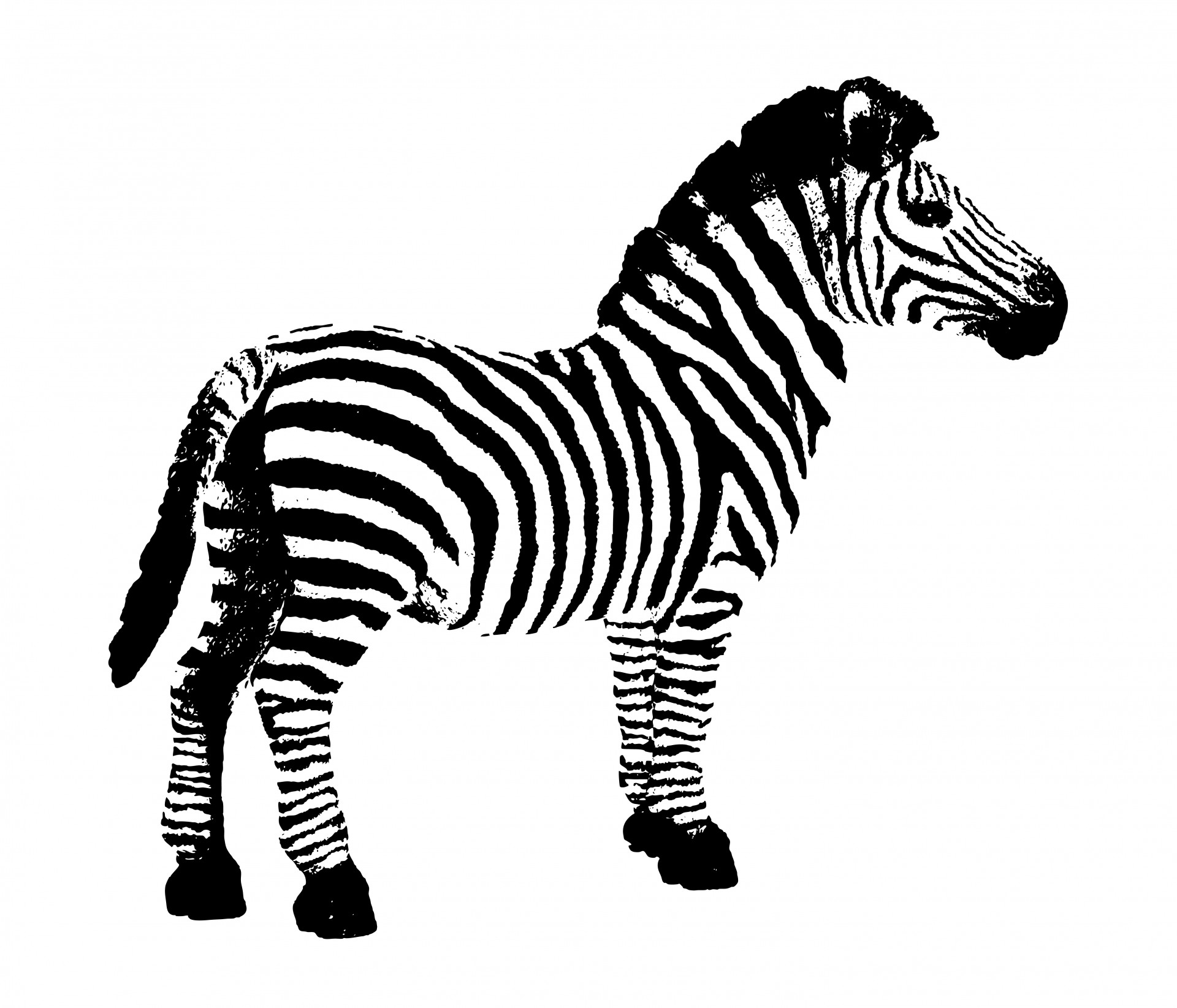 Zebra clipart free stock photo public domain pictures