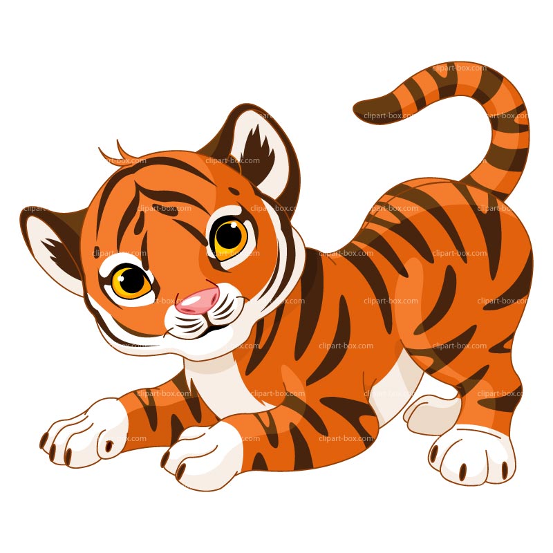 Baby tiger clipart kid
