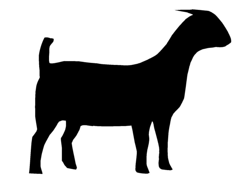 Boer goat clip art 2