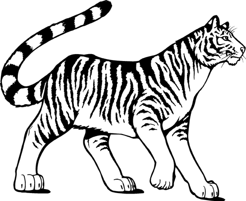 Chinese tiger clipart free images