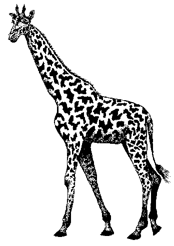Free giraffes clipart free clipart images graphics animated