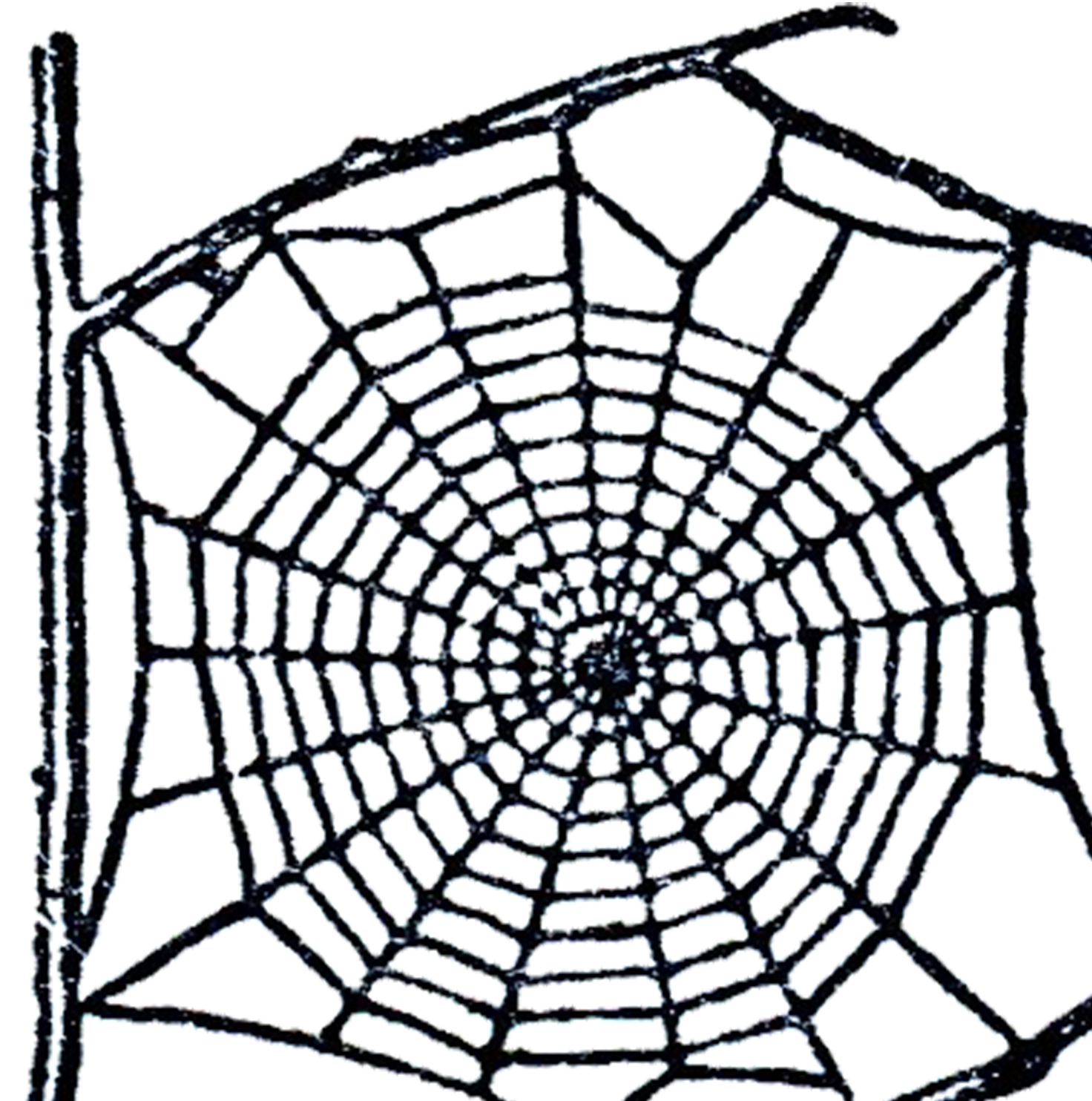 Free spider web clip art the graphics fairy