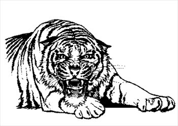 Free tigers clipart graphics images and photos 2