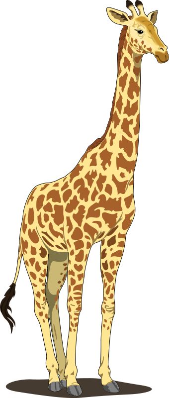 Giraffe clip art giraffe clip art free animal images