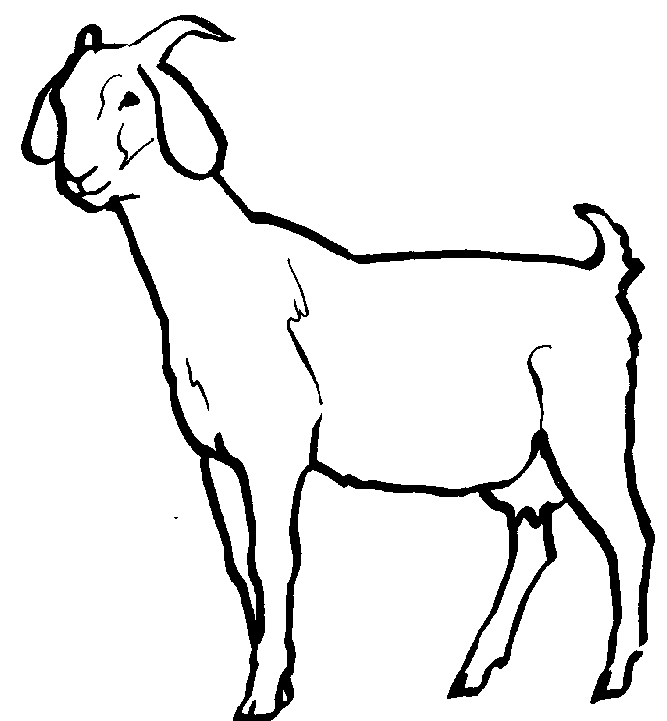 Goat black and white clipart clipart kid 2