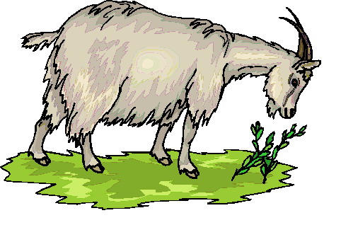 Goat clip art black and white image free clipart