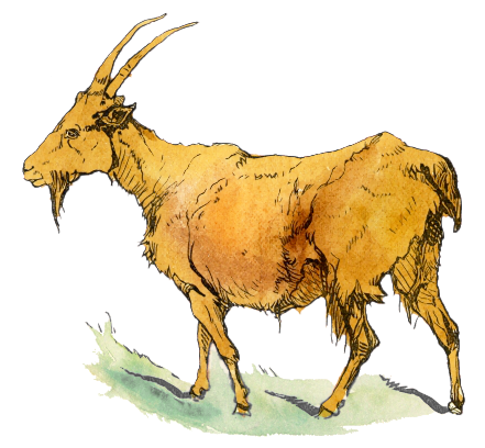 Goat clip art free download free clipart images clipartcow clipartix