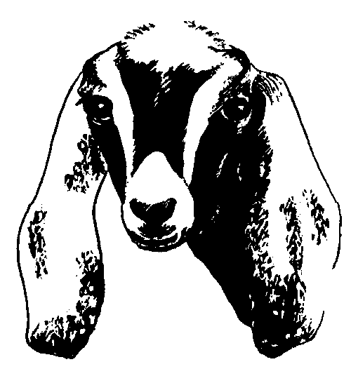 Goat clip art goatworld articles goatworld