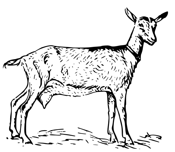 Goat clip art vector goat graphics image 3