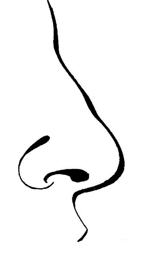 Human nose clipart black and white google search pics to put