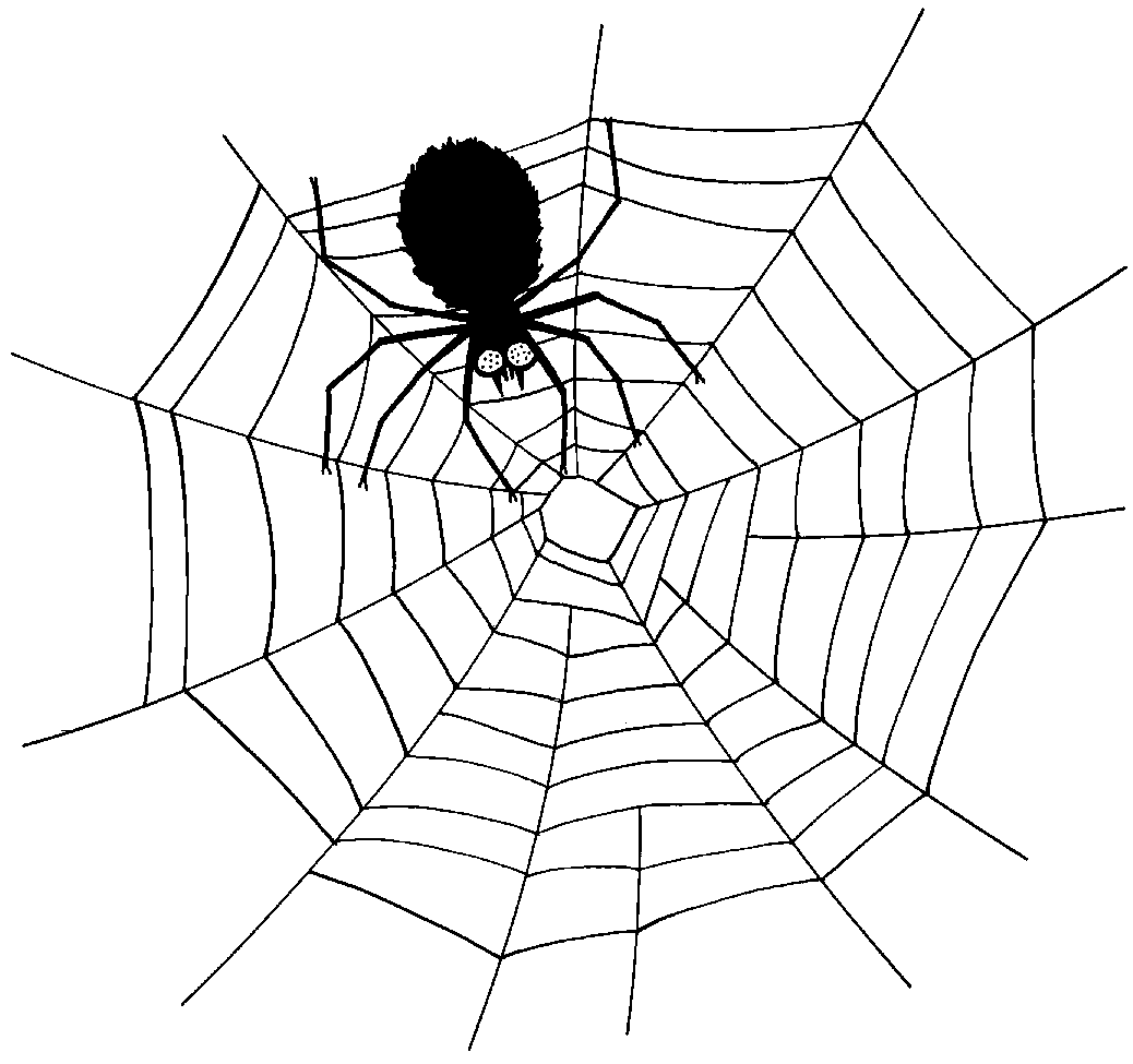 Large spider web clipart clipart kid