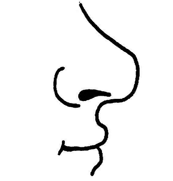 Nose clip art black and white free clipart images 2
