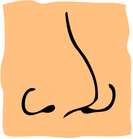 Nose clipart 3 image 2