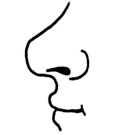Nose clipart free images