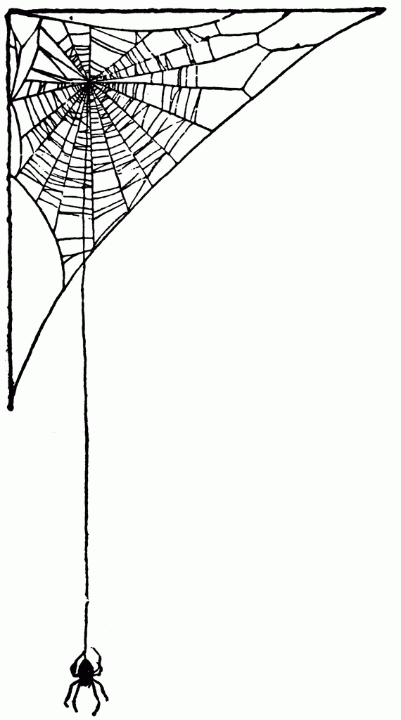 Spider web clipart 9