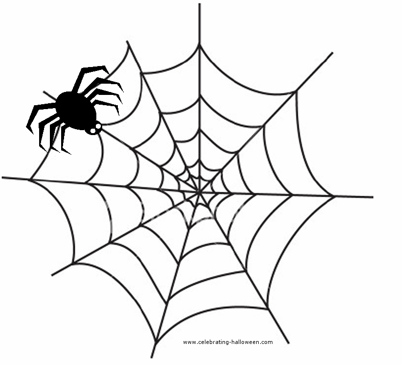 Spider web clipart to download dbclipart
