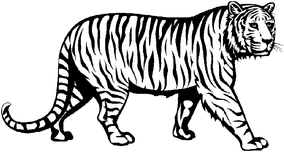 Tiger face clip art black and white free clipart 2