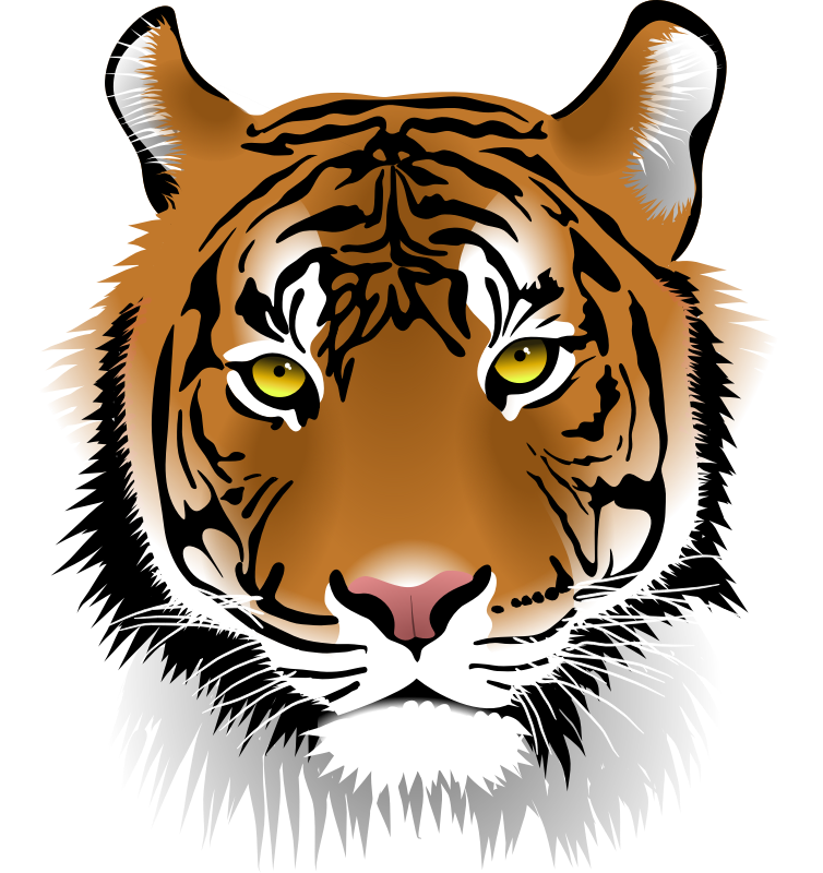 Tiger free to use cliparts