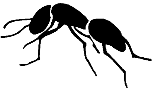 Ant clip art clipart free to use resource