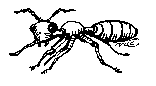 Ant clipart 6