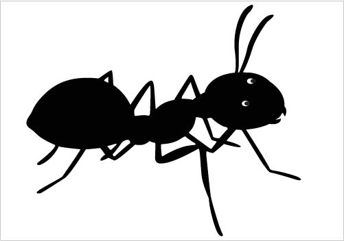 Cute ant clipart kid