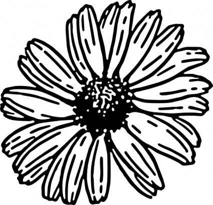 Daisy clip art free vector in open office drawing svg