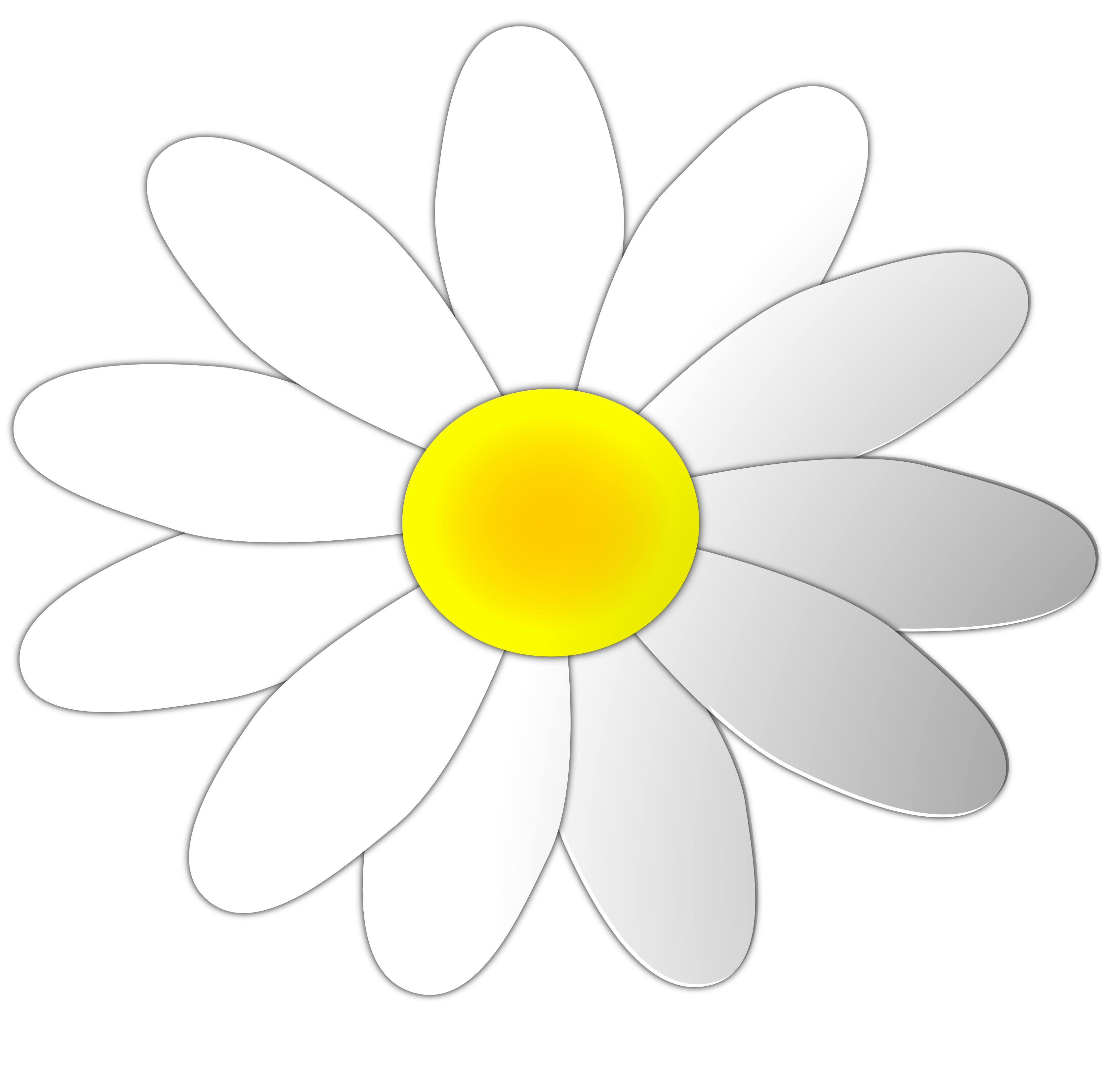 Daisy flower clip art clipart clipartix