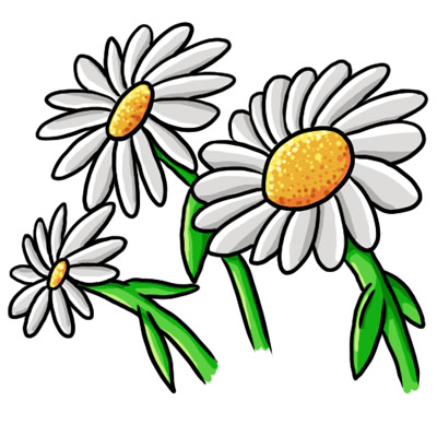 Daisy flower clip art free vector for download about clipartix