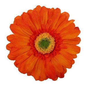 Daisy gallery free clipart pictures image 2
