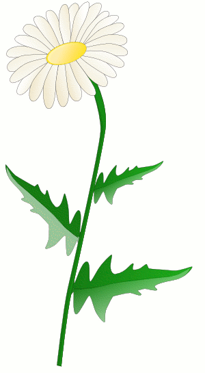 Free daisy clipart public domain flower clip art images and 5