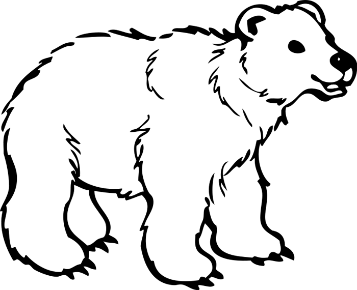 Polar bear clipart 5
