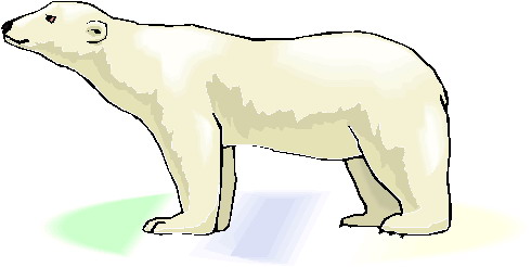 Polar bears clip art 2