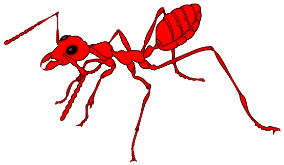 Red ants clipart kid 2