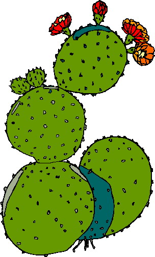 Cactus border clipart kid