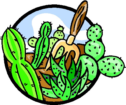 Cactus clip art 12