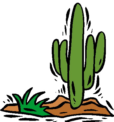 Cactus clip art 13