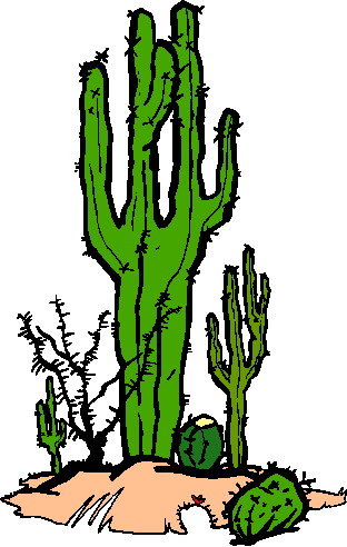 Cactus clip art 6 clipartix