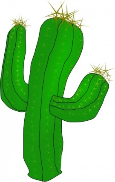 Clipart cactus clipart