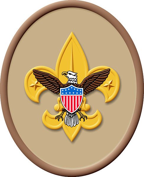 Cub scout eagle scout scouts and eagles on cliparts