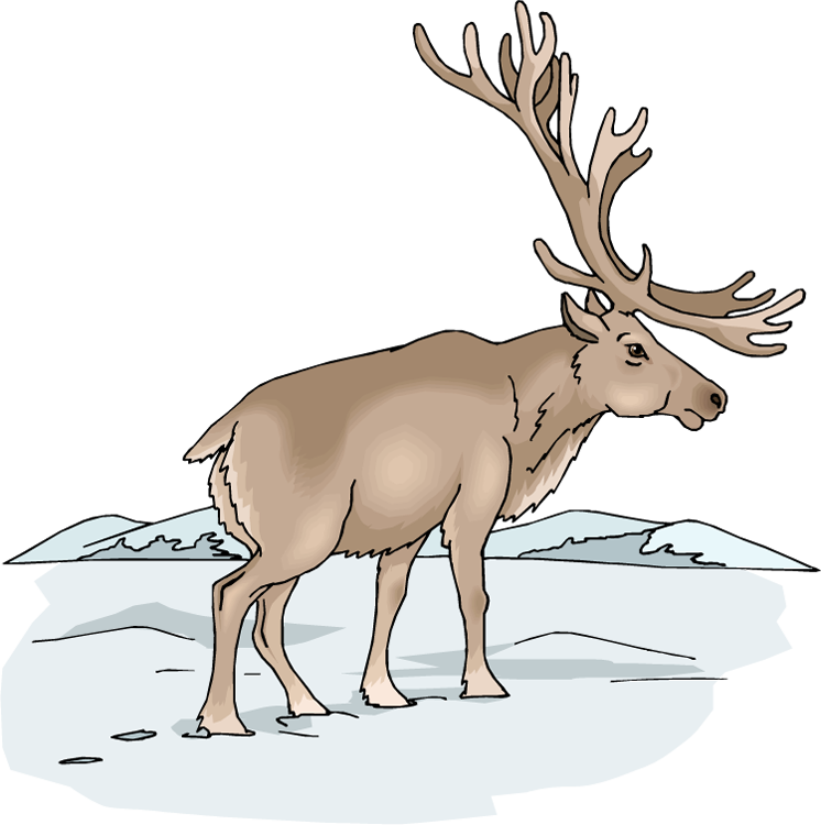 Free moose clipart 6