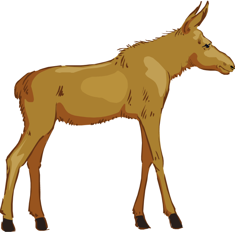 Free moose clipart 7