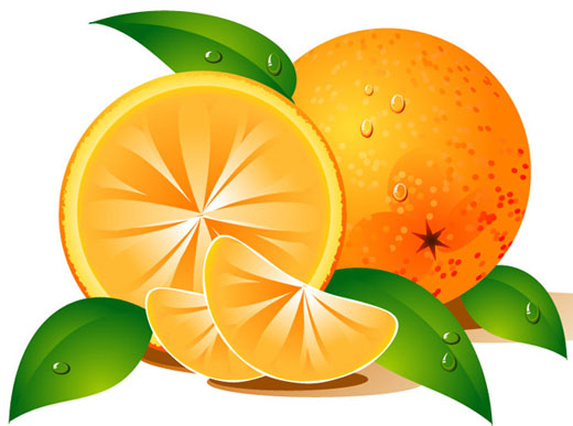 Free orange clipart fruit clip art