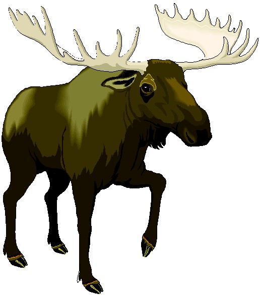 Moose clipart 3