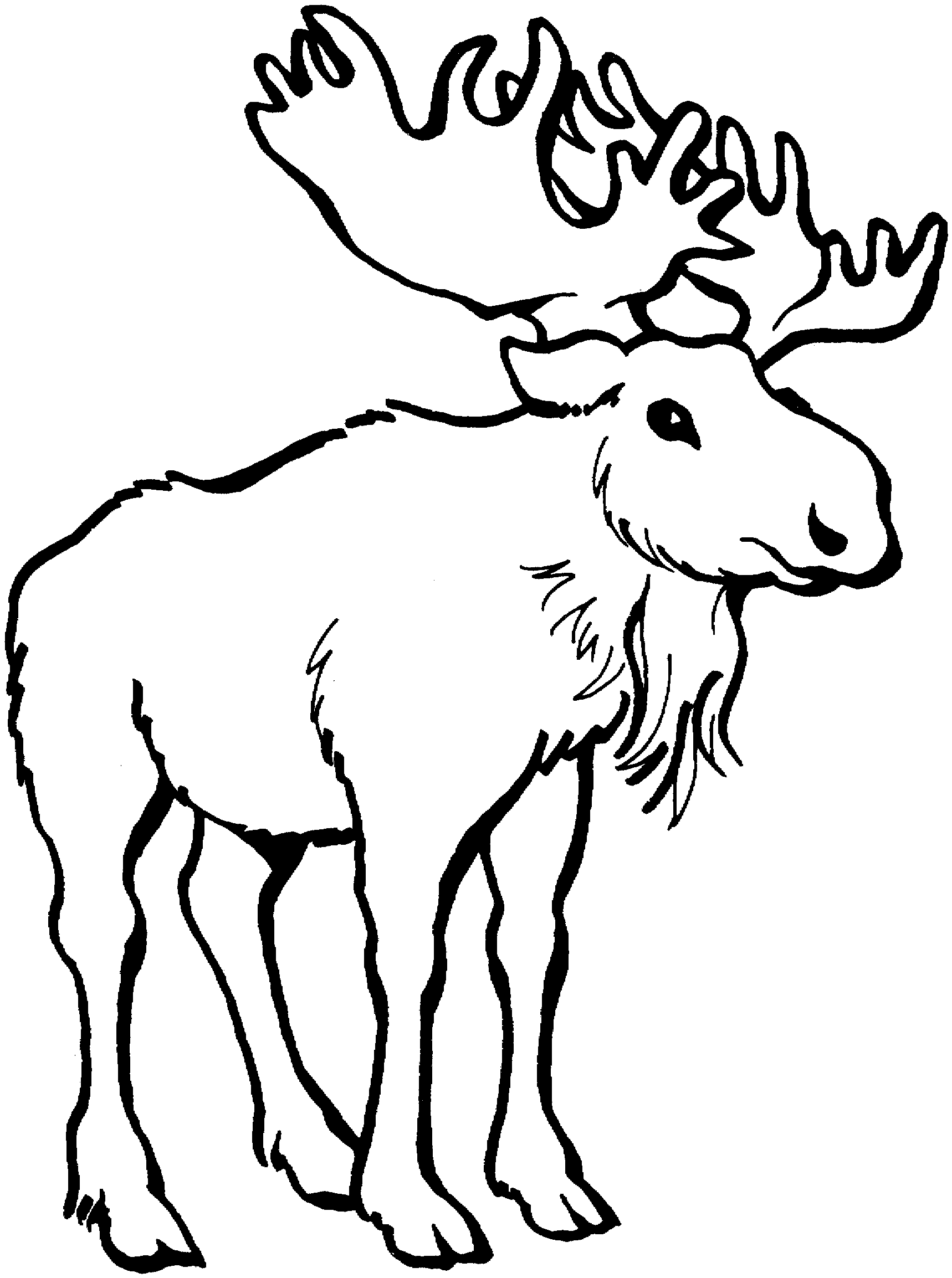 Moose clipart cartoon free images 4