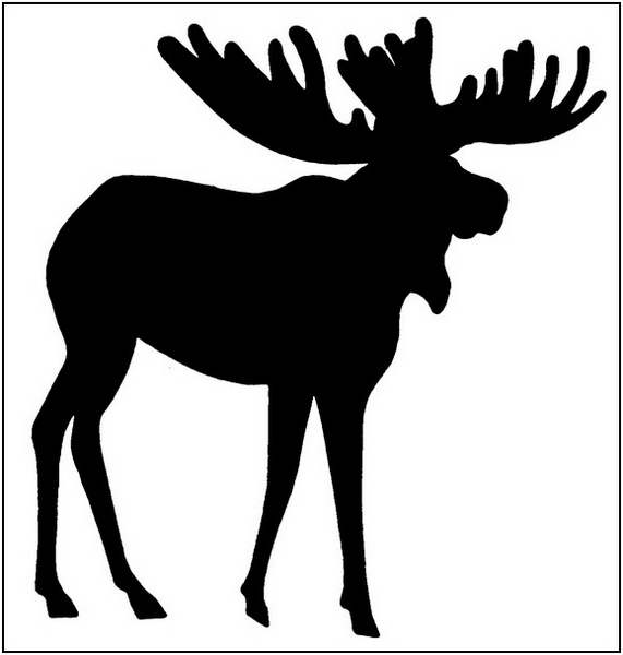 Moose clipart cartoon free images 5 clipartix
