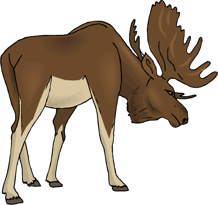 Moose clipart cartoon free images 5