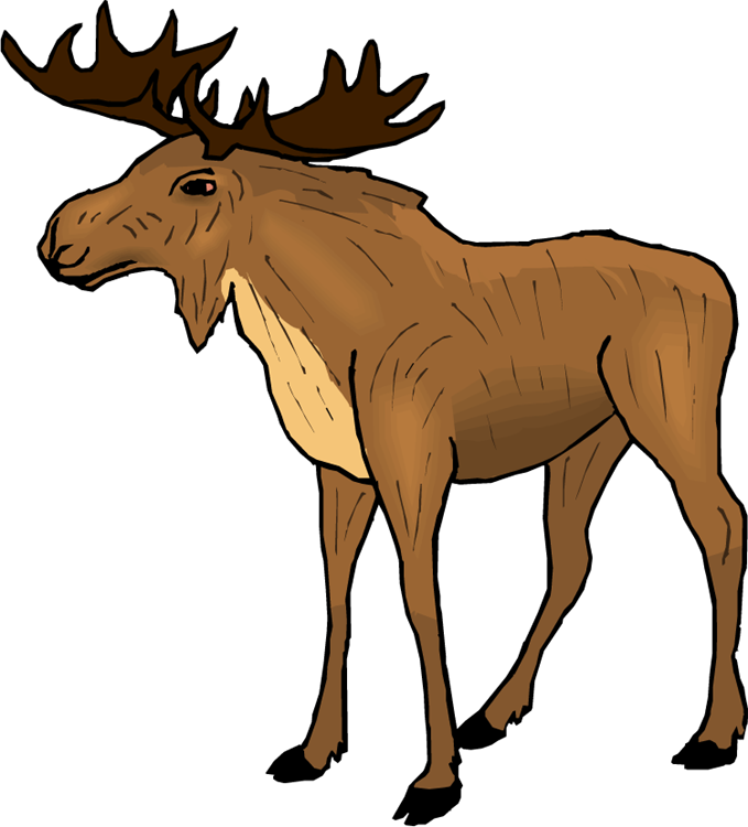 Moose clipart cartoon free images