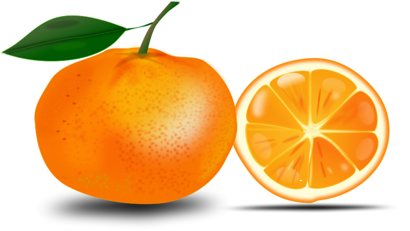 Orange clipart 4